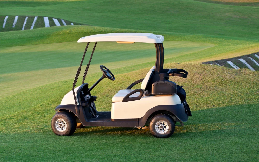 Golf Cart & Buggy Battery